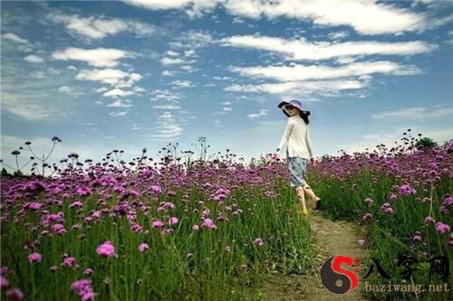 梦见出来旅游